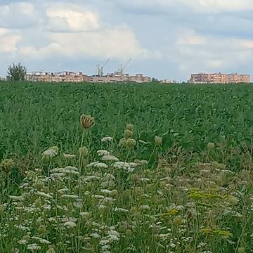 Підгородне, Тернопільський, Тернопільська область 10000.0 USD