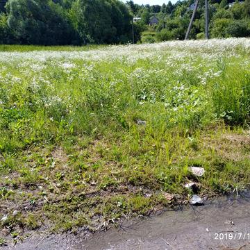 Гряда, Львівський, Львівська область 120000.0 USD