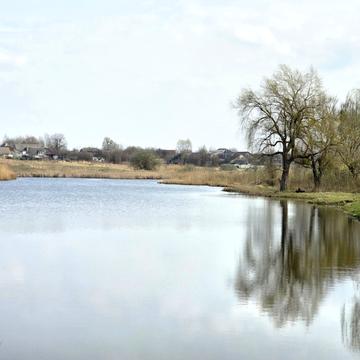Центральна вул.