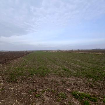 Мстишин, Луцький, Волинська область 250.0 USD