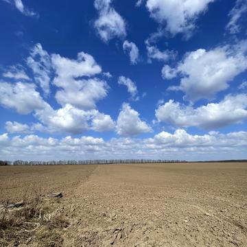 Грушевського