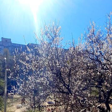 житловий масив Тополя-2 вул., 33