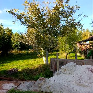 Пустомити, Львівський, Львівська область 13000.0 USD