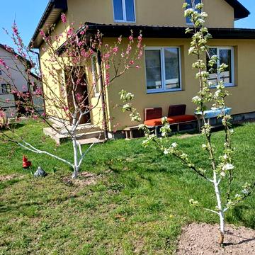 2-га Лінія вул., 24