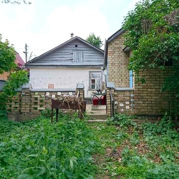 профінтерну