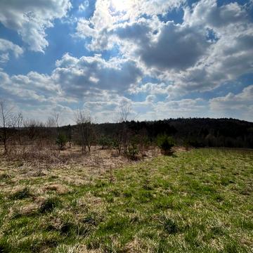 Липники, Львівський, Львівська область 22500.0 USD