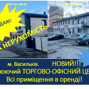 Володимирська вул., 26А