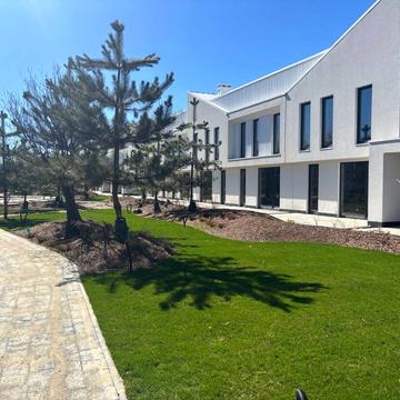 Світанкова