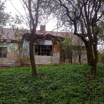 головна