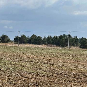 Литвинівка, Вишгородський, Київська область 12500.0 UAH