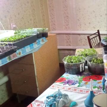 Нечуя-Левицького вул., 4