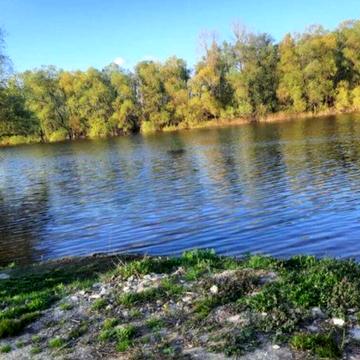 Іллінська вул. (Гліба Успенського)