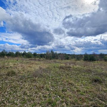 Небіжка, Луцький, Волинська область 100000.0 USD