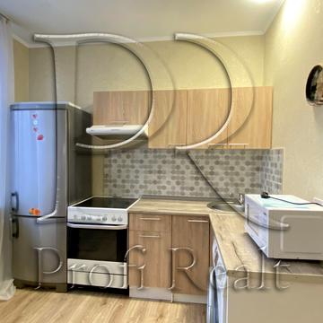 Олени Пчілки вул., 2