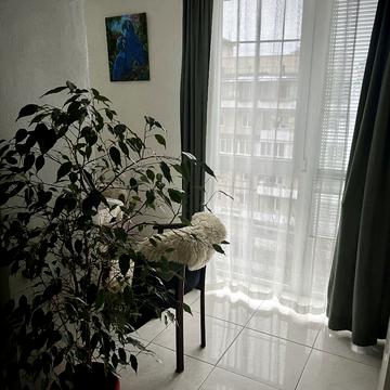 Павла Загребельного вул. (Миколи Раєвського), 11