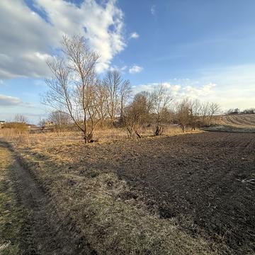 Байківці, Тернопільський, Тернопільська область 36000.0 USD