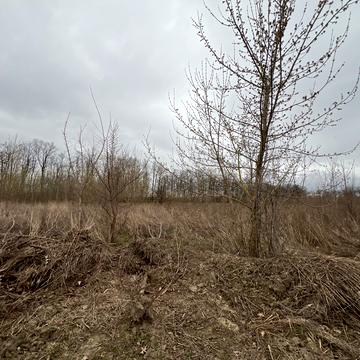 Бохоники, Вінницький, Вінницька область 13000.0 USD