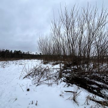 Шевченка вул.