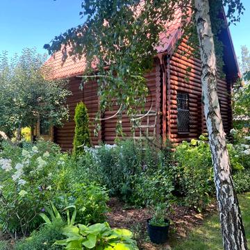 Лісова вулиця