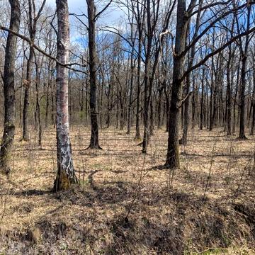 Черніїв, Івано-Франківський, Івано-Франківська область 6500.0 USD