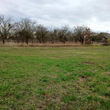 Центральна