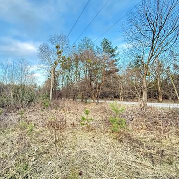 Віта-поштова, Фастівський, Київська область 1200000.0 USD