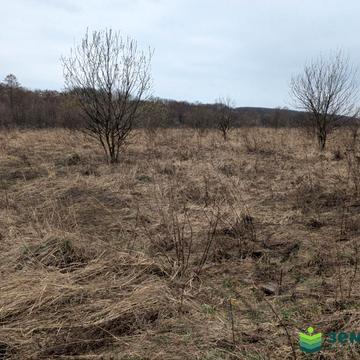 Центр, Івано-Франківськ, Івано-Франківська область 13500.0 USD