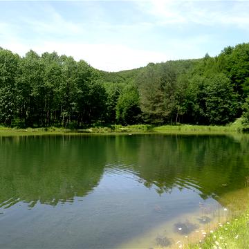 Лісники, Обухівський, Київська область 100000.0 USD