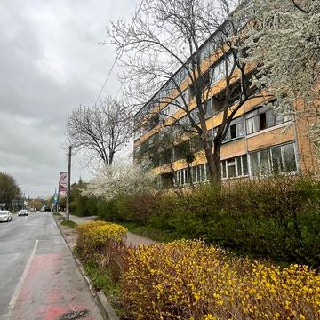 Панаса Мирного вул., 43