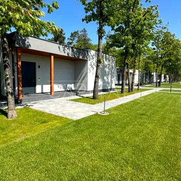 вишгородський