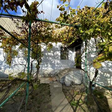 Тодося Осьмачки вул.