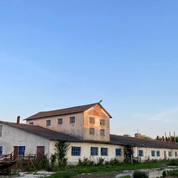 Київська вул. (107-ї Кременецької Дивізії), 50