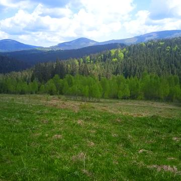 Вишків, Калуський, Івано-Франківська область 75000.0 USD