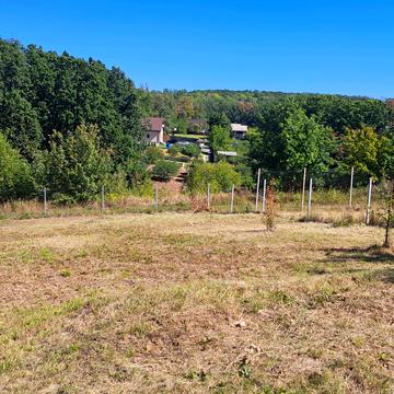 Високий, Харківський, Харківська область 11000.0 USD