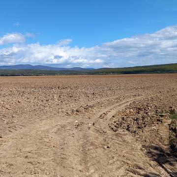 Дравецька вул.