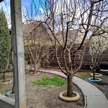 Передаточна вул., 37