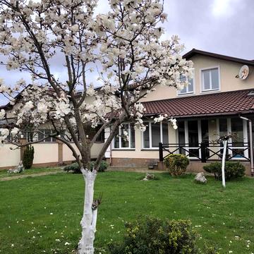 Центральна вул.