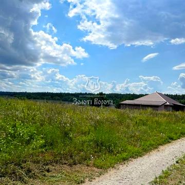 Зелений гай