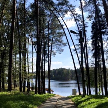 Лебедівка, Вишгородський, Київська область 750000.0 USD