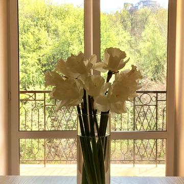 Дегтярна вул., 19