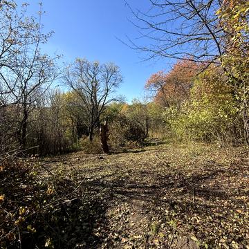 Оршівський пров.