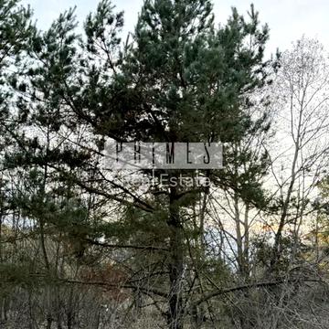 Незалежності