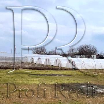 Партизанська вулиця