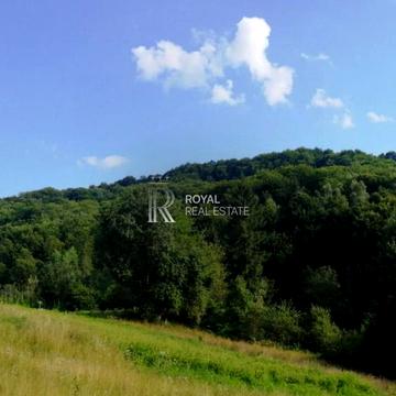 Ямельниця, Стрийський, Львівська область 330000.0 USD