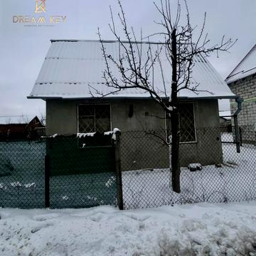 Центральна вул.