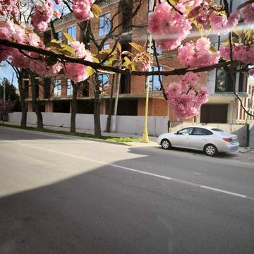 Собранецька вул., (Будинок)