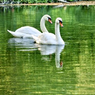 Вишгородська вул., 45/4