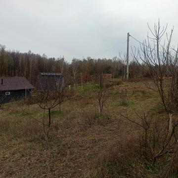 Княжа вул. (Колгоспна)