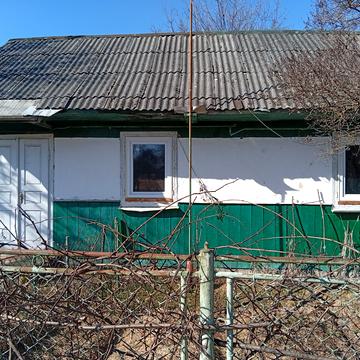 Гонти