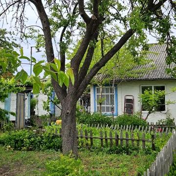 Центральна